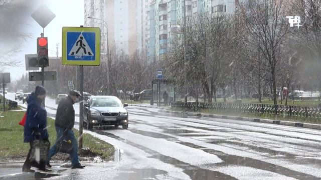 Цифровые пропуска смотреть онлайн