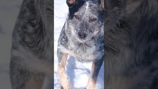 We cant wait for snow this year 