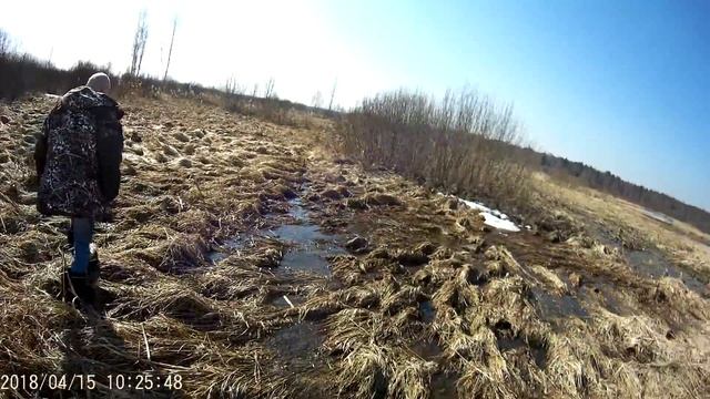 ПОИСКИ ВЕСЕННЕЙ ПЛОТВЫ В МАЛЫХ РЕЧКАХ. 15.04.2018. Андрианово-Нерль. Купанское-Векса. Toyota Hilux смотреть онлайн