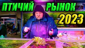 Птичий рынок Садовод. Цены на рыбок и растения 2023