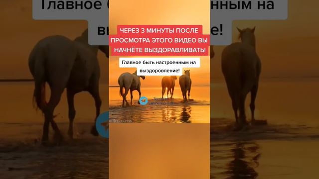 через 3 МИНУТЫ после просмотра этого видео вы начнёте выздоравливать