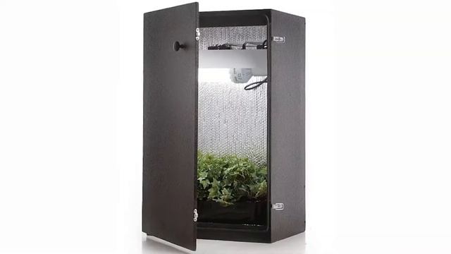 Купить Гроубокс На Алиэкспресс смотреть онлайн