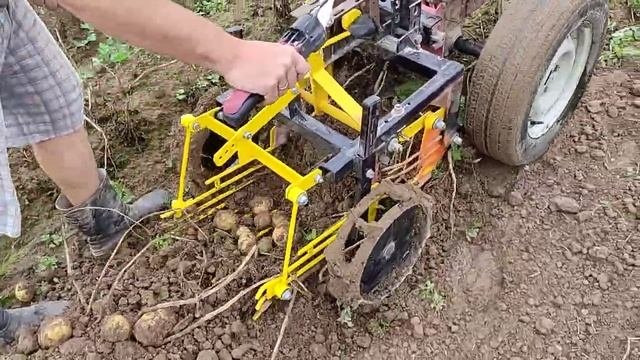 работа переделанной картофелекопалки (02.09.23). земля мокрая после дождей.