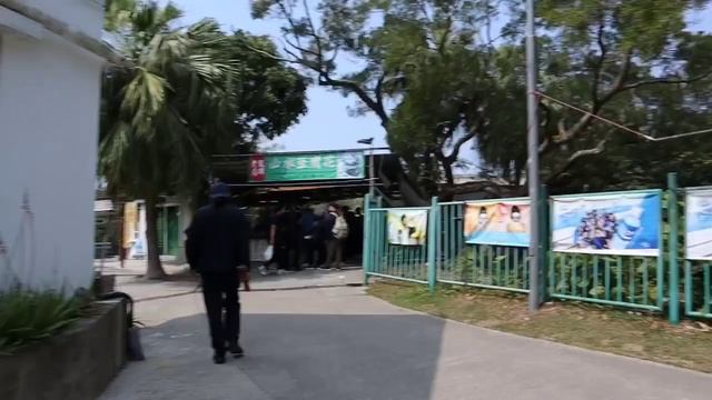 Things to do in Lantau island/ Visiting Po Lin Monastery & Ngong Ping Village смотреть онлайн