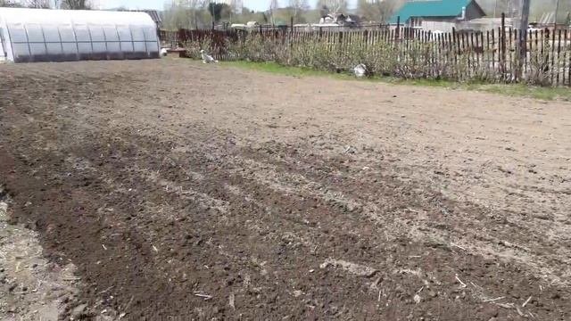 Капаю огород, электро культиватором ЛопЛош