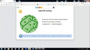 Лабораторная работа Изучение растительных клеток Лук  Помидор Клен летом и осенью Биология 5 класс