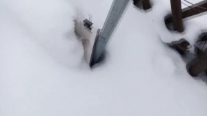 ??Зимнее  укрытие винограда дорнитом.  Укрытие винограда на зиму.