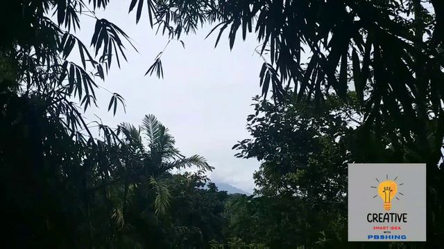 Relaxing nature -bamboo sound Siniawan My Home Town 故乡的风💗💗 смотреть онлайн