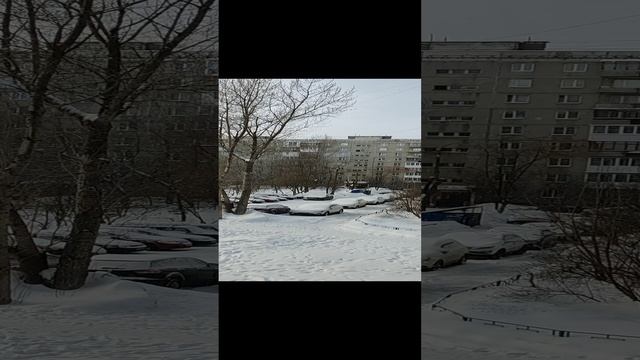 Машины за ночь, как на подбор. Нижний Новгород. Последнее время очень снежные зимы.
