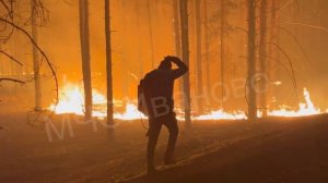 Ивановские огнеборцы и днем и ночью боролись с лесными пожарами в Южском районе