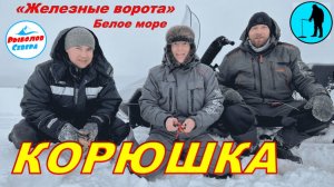 КОРЮХ НА БЕЛОМ МОРЕ. «ЖЕЛЕЗНЫЕ ВОРОТА» 2022 #Рыболов_Севера