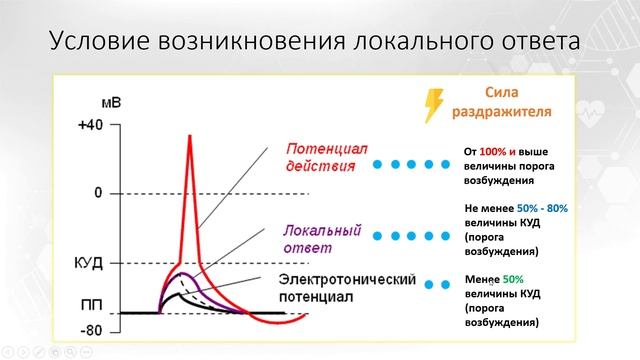 Тема 1. Возбудимые ткани. Вопрос 5.