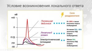Тема 1. Возбудимые ткани. Вопрос 5.