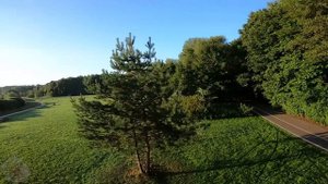 Измайловский парк FPV съемка часть 1