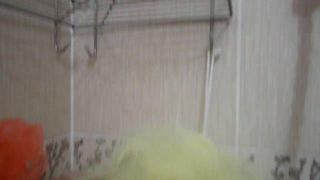 Вечная полочка в ванную , прошло 2года и никакой ржавчины смотреть онлайн