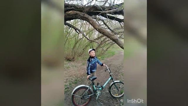 Велосипедные гонки или лесные аттракционы смотреть онлайн