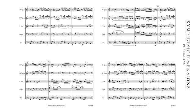 BALKAN FEVER (Brass Quintet) - Nico Samitz смотреть онлайн