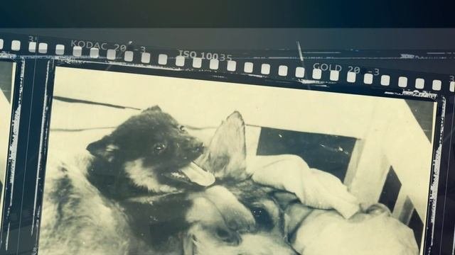 «История передовых отечественных медицинских технологий»