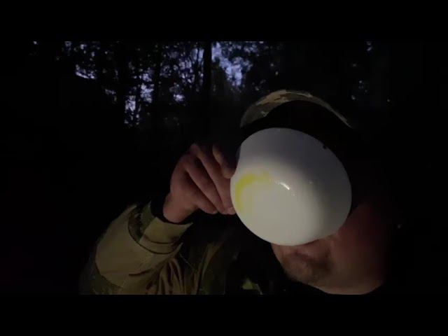 яйца перепелов