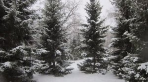 Фристайл Нина Кирсо - Падали белые снежинки - remars65