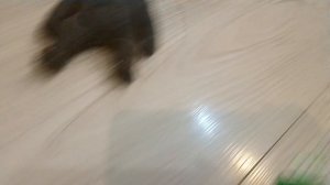 два брата 2 сезон 7 часть праздник состоялся