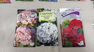 10 лучших однолетников для срезки в букеты. Московская область.