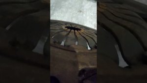 Вибрация сцепления! 1.6 BSE