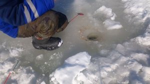 Хапуга - хлопушка первая рыбалка