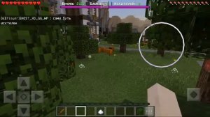 BlockHunt на Cristalix.pe | Minecraft MiniGames 1.1.5