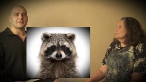 Куда ты так разогналась, Тётя-Мотя?..
Вывод...
(оговорка: в разговорах не с Пучковым, а с Квачковым)