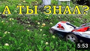 12 дел в огороде и саду в СЕНТЯБРЕ???