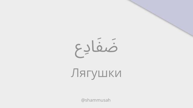 Произношение арабских слов | Арабский язык