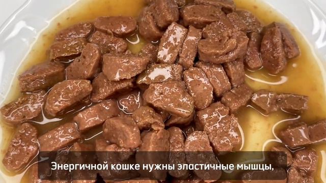 Пауч для кошек Probalance Active, 85г смотреть онлайн