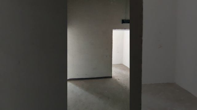 19 декабря 2023 г. смотреть онлайн