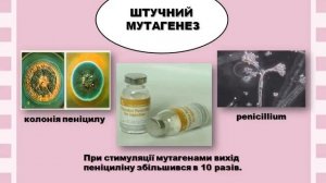 Відеоурок БІОЛОГІЯ 9 КЛАС "Поняття про селекцію. Методи селекції рослин"