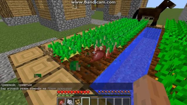 Майнкрафт свекла смотреть онлайн