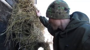 Искусственные гнезда для дикой утки. Помогаю природе