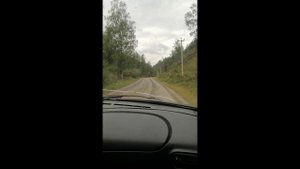 поездка