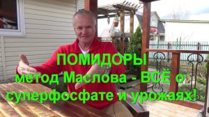 58. ПОМИДОРЫ - всё о суперфосфате к методу Маслова и урожае!