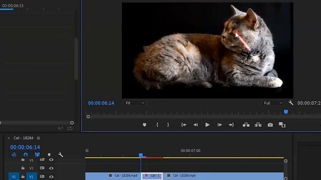 LASER EFFECT IN 2 MINUTES !! PREMIERE PRO