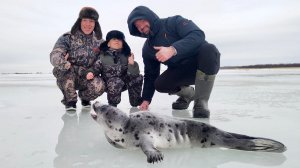 ✅ ЗАКРЫТИЕ ЗИНЕГО СЕЗОНА l ЗНАКОМСТВО С ТЮЛЕНЕМ l РЫБАЛКА НА КОРЮШКУ #рыболов_севера