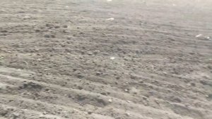 культивация и посадка картофеля самодельным минитрактором видео.