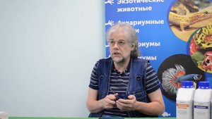 Самые распространенные болезни аквариумных рыб. Привозная рыба и местного разведения
