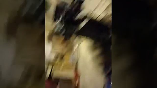 Натяжка цепи маслонасоса мотор двигатель бмв м60 смотреть онлайн