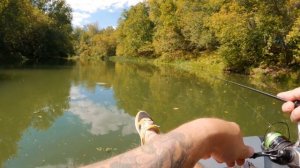 Экстремальный сплав по реке Кондурча (Самарская область). Устали перелезать через поваленные деревь