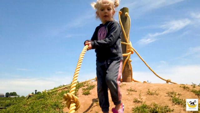 Весело играем на ферме с животными. Видео для детей / Fun Time on the farm with animals. Kids video смотреть онлайн
