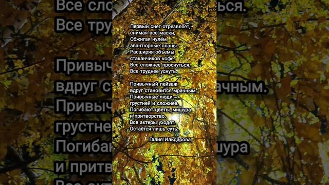 #осень #ноябрь #стихи #поэзия смотреть онлайн