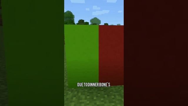 Ruby ore in Minecraft?!?