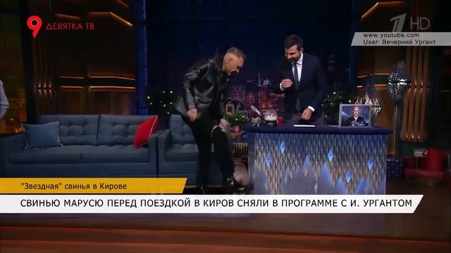 Свинья Маруся в Кирове смотреть онлайн