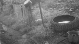 Как сделать детонатор